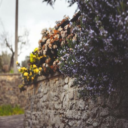Agriturismo La Collina Toscana Pieve a Maiano Екстер'єр фото