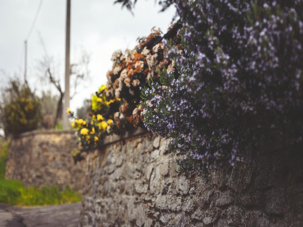 Agriturismo La Collina Toscana Pieve a Maiano Екстер'єр фото